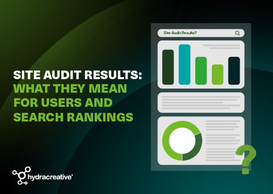 SEO Audit Results: What They Mean for Users and Search Rankings main thumb image