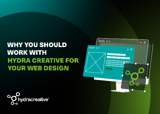 Why You Should Work With Hydra Creative For Your Web Design main thumb image